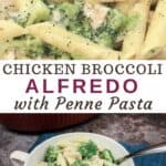 white bowl of chicken broccoli alfredo pasta on blue napkin