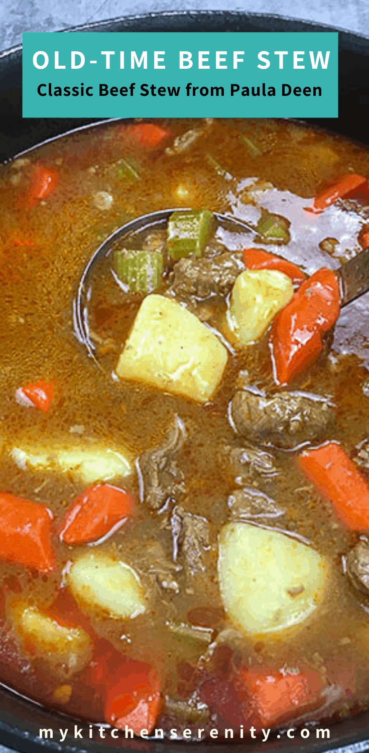 vegetable beef stew in black pot with ladle