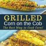grilled corn on blue platter