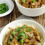 crock pot honey garlic chicken