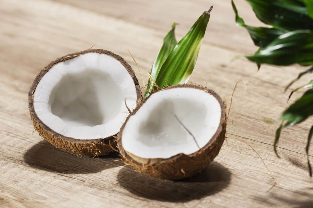 coconut meat inside two coconut halves