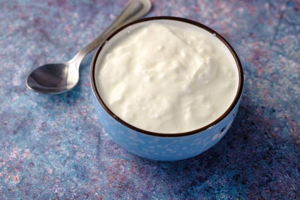 picture of blue bowl of greek yogurt