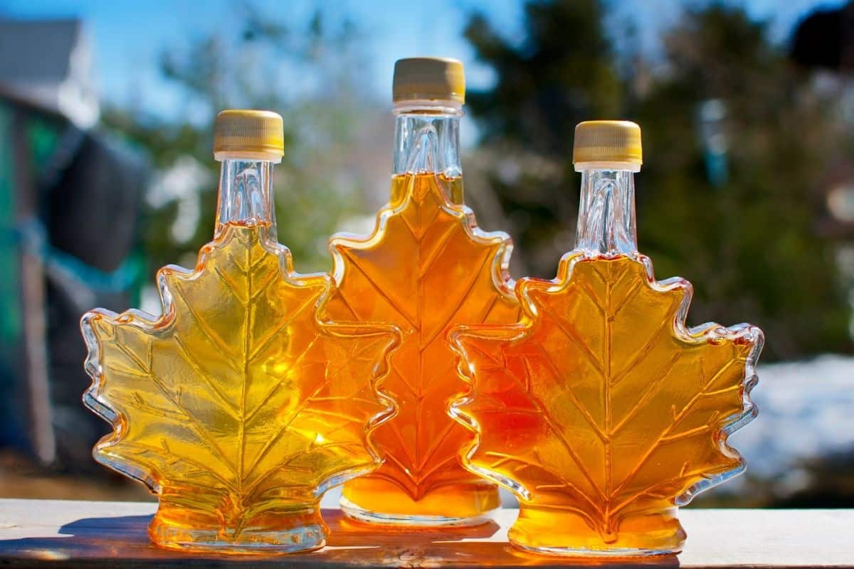 picture of three bottles of maple syrup shaped like maple leaves