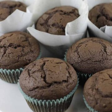 moist fluffy chocolate muffins