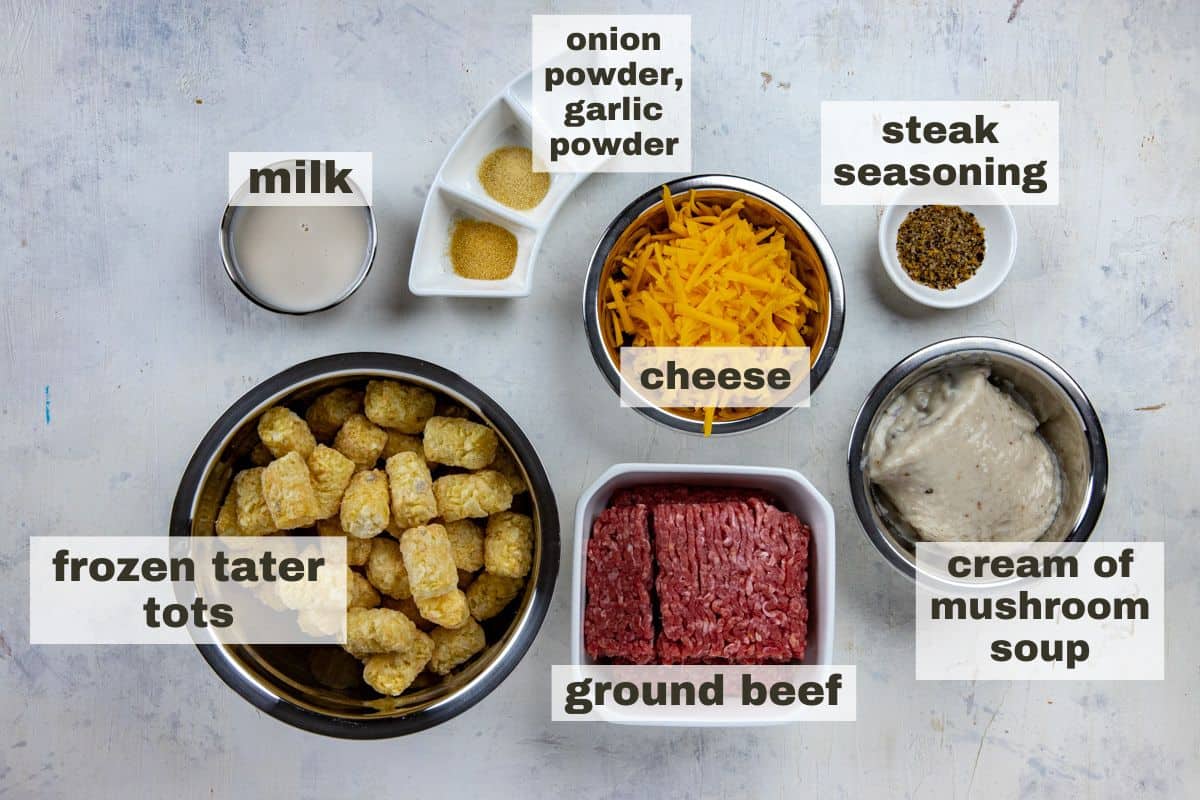 Ingredients measured out in individual containers.  Ground beef, tater tots, shredded cheese, cream of mushroom soup, milk, steak seasoning, garlic powder, and onion powder.