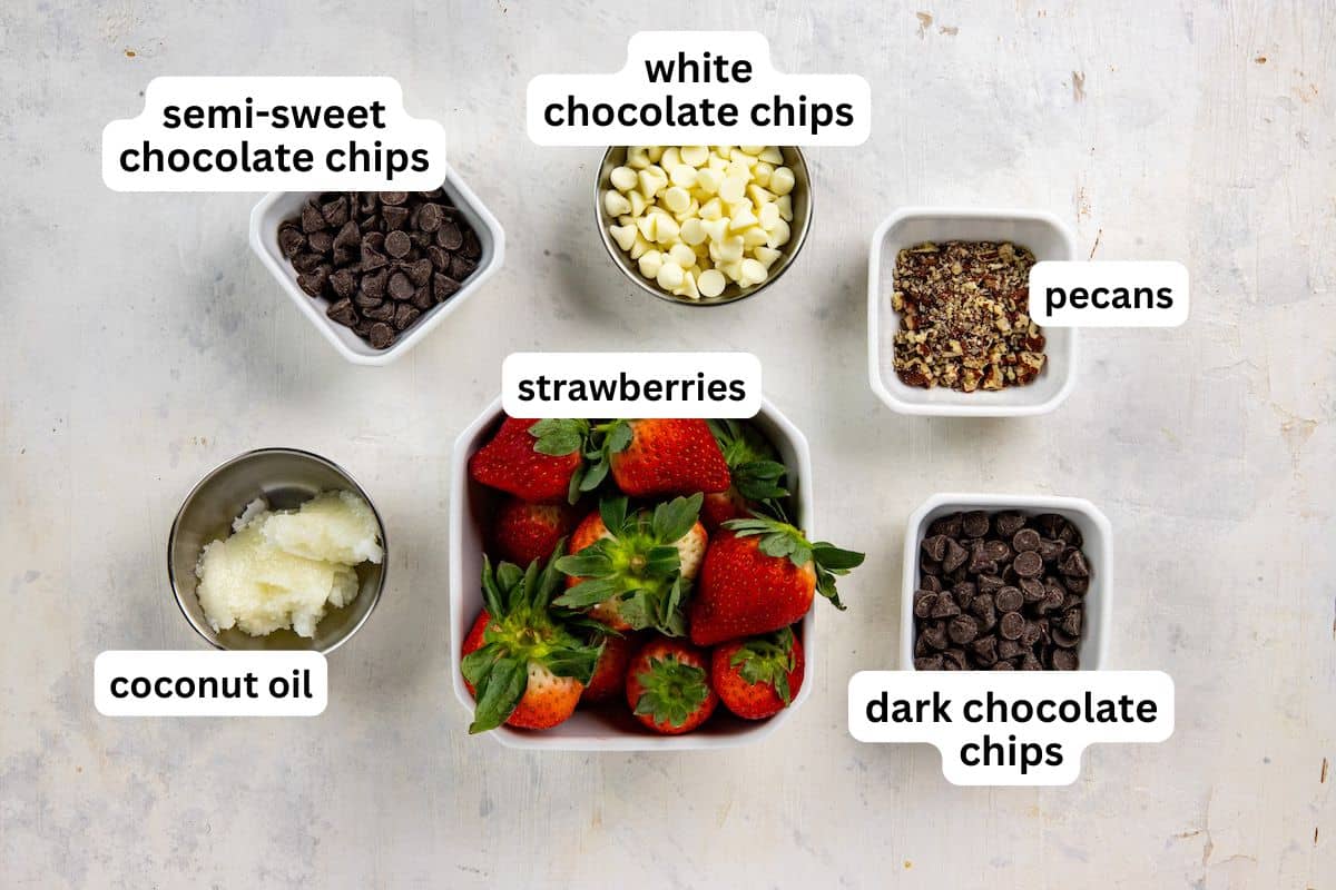 All ingredients measured out in individual containers.