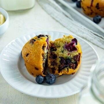 One baked muffin cut in half on a white plate with two fresh blueberries on the side.