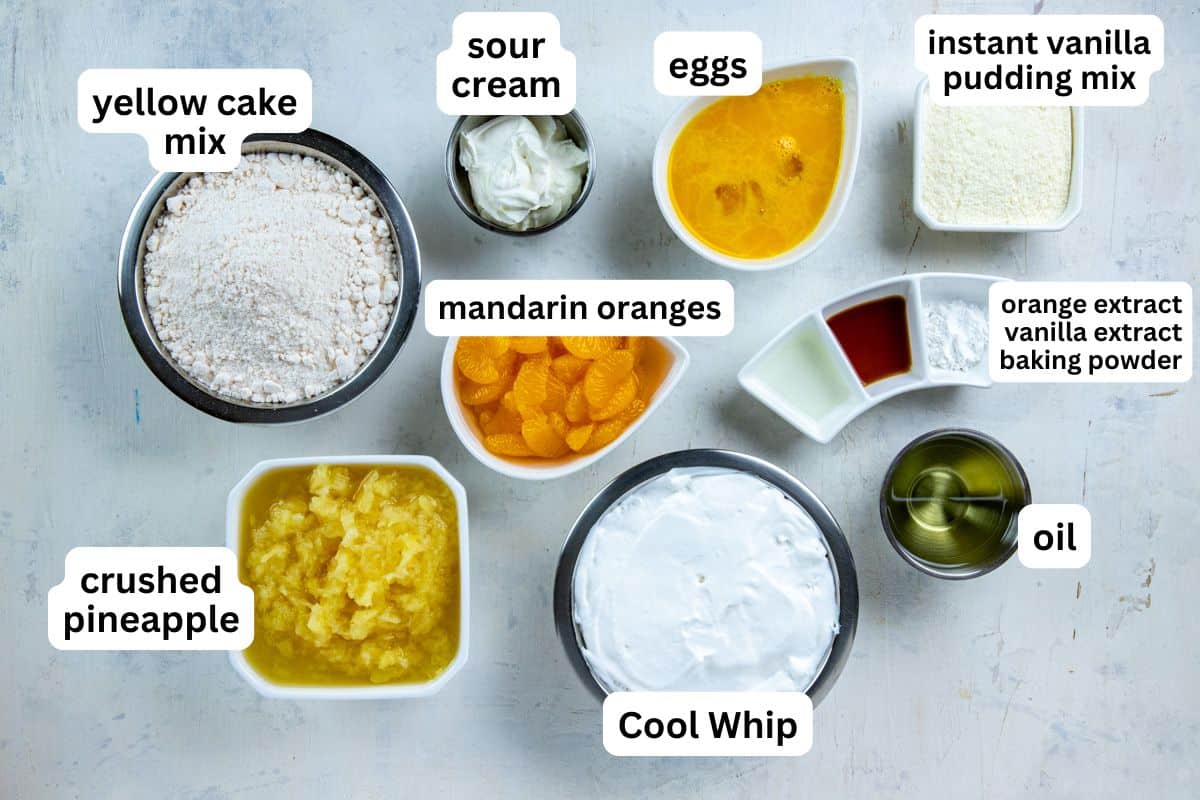 Ingredients measured out in individual containers.