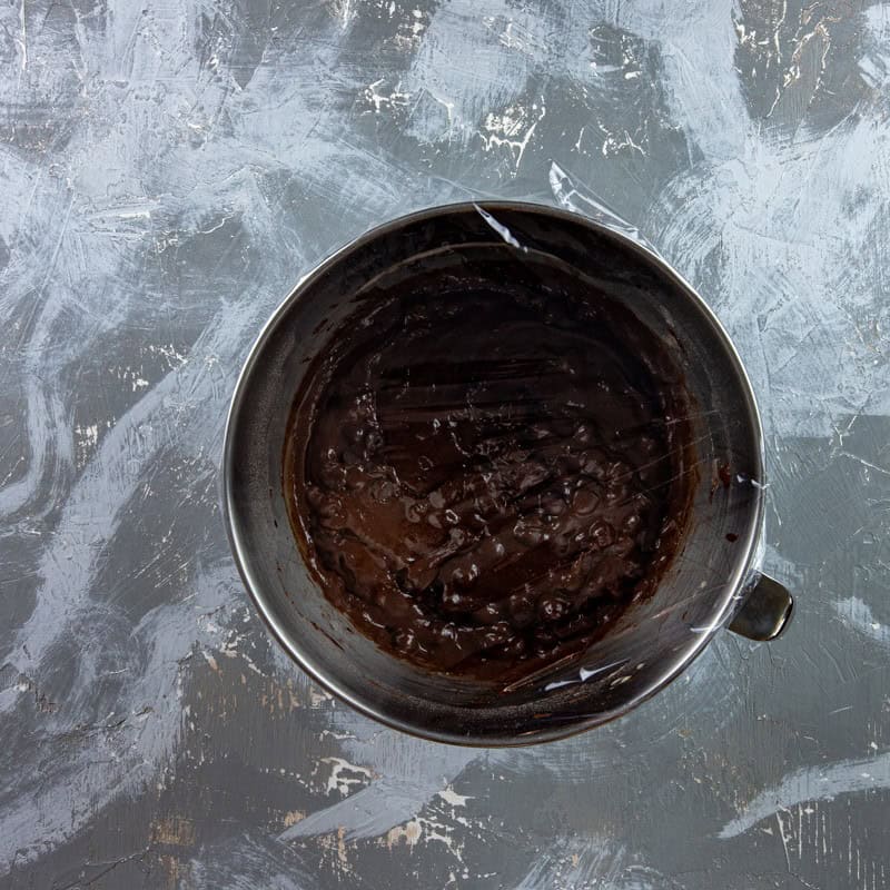 Dough in the mixing bowl that is covered with plastic wrap.