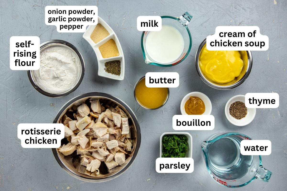 All ingredients measured out in individual containers.